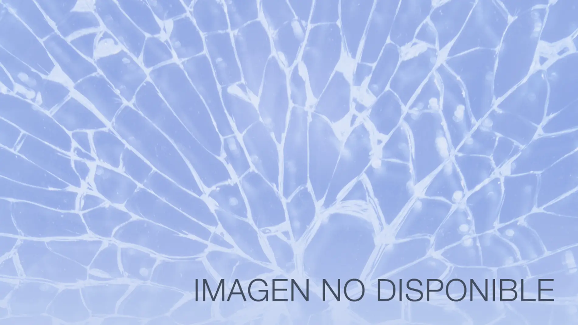 Imagen no disponible