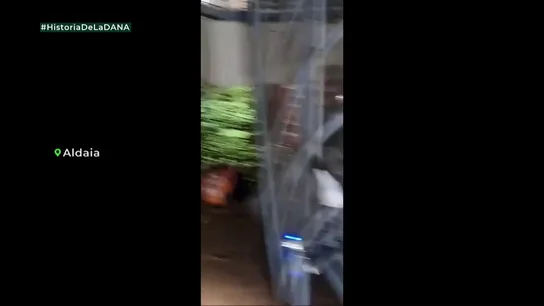 La angustia de centenares de personas atrapadas en las tiendas del centro comercial Bonaire durante la DANA: "¡No podemos salir!" La angustia de centenares de personas atrapadas en las tiendas del centro comercial Bonaire durante la DANA: "¡No podemos salir!"