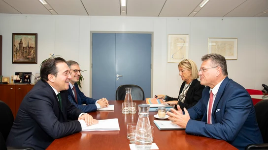 El ministro de Asuntos Exteriores, Unión Europea y Cooperación, José Manuel Albares, y el vicepresidente de la Comisión Europea Maros Sefcovic durante su reunión en Bruselas El ministro de Asuntos Exteriores, Unión Europea y Cooperación, José Manuel Albares, y el vicepresidente de la Comisión Europea Maros Sefcovic durante su reunión en Bruselas